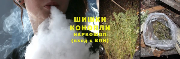 PSILOCYBIN Баксан