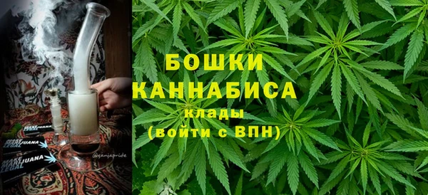 PSILOCYBIN Баксан