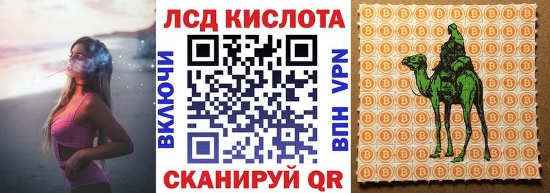 купить   Лесозаводск  Марки N-bome 1,5мг 